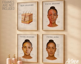Ensemble de 4 posters sur l'anatomie du visage et le vieillissement – Muscles, vaisseaux, amas graisseux et anatomie de la peau – Art mural esthétique médical