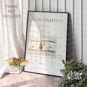 K&ouml;nnte beinhalten: Ein vertikaler Wandkunstdruck mit dem Titel Skin Anatomy, der goldene Foliengrafiken der Hautschichten wie Epidermis, Dermis und Hypodermis zeigt. Beschriftungen identifizieren Haar, Talgdr&uuml;se, Schwei&szlig;pore, Nerv, Vene und Fettgewebe.