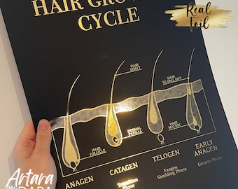 Hair Growth Cycle Real Foil Print, Dermatology Art Poster