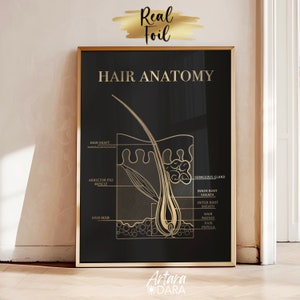 Hair Structure Art, Gold Foil Print, Hair Salon Decor, Hair Growth Cycle, Hair Anatomy Art, Trichology Art, Dermatology Print, Hair Poster image 6