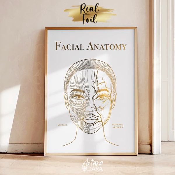Arte de anatomía facial, impresión de lámina real, decoración de salón de belleza, arte de medicina estética, arte de anatomía de oro, regalo de esteticista, arte de los músculos faciales