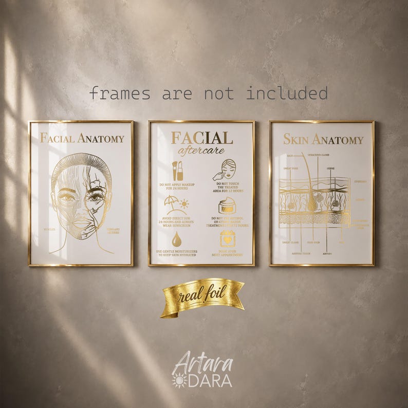 K&ouml;nnte beinhalten: Drei wei&szlig;e Poster mit Goldfolien-Details, die Gesichtsanatomie, Gesichtspflege-Anweisungen und Hautanatomie zeigen. Der Text lautet frames are not included, real foil und Artara DARA. Die Drucke zeigen anatomische Diagramme und Symbole.