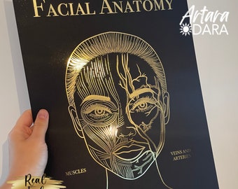 Face Anatomy Real Foil Art Print, Facial Muscles, Veins & Arteries