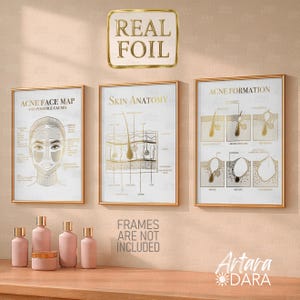 May include: Three framed educational posters with gold frames and text about skin anatomy and acne. The posters are displayed with pink skincare bottles and jars. The top sign reads "REAL FOIL".
