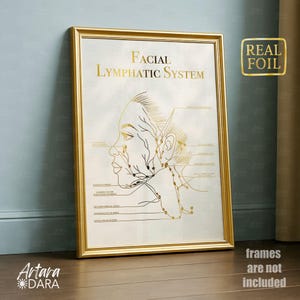 Può includere: Una stampa incorniciata intitolata "FACIAL LYMPHATIC SYSTEM" con scritte e illustrazioni in lamina d'oro del sistema linfatico su sfondo crema. La stampa è in una cornice dorata e include il testo "REAL FOIL".
