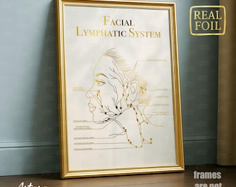 Facial Lymphatic System Poster – Gold Foil Anatomy Chart (Unframed)