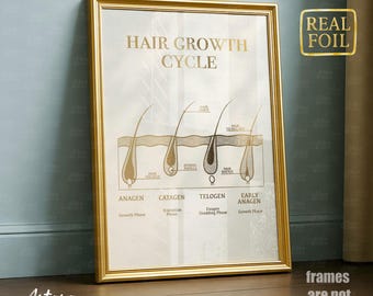 Hair Growth Poster, Real Foil Print, Dermatology Art, Hair Anatomy Print, Hair Dresser Art, Hair Removal Poster, Beauty Salon Decor