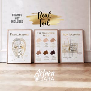 Cartazes de anatomia facial, impressão em folha real, decoração de clínica de beleza, cartaz de dermatologia, anatomia da pele, escala de Fitzpatrick, decoração de salão de beleza