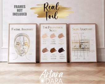 Facial Anatomy Posters, Real Foil Print, Beauty Clinic Decor, Dermatology Poster, Skin Anatomy, Fitzpatrick Scale, Beauty Salon Decor