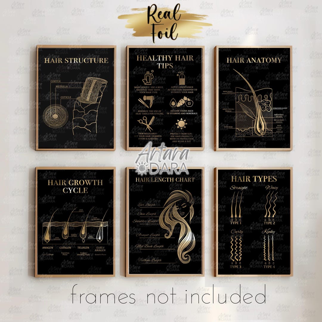 Hair Salon Decor, Gold Foil Print, Hair Anatomy, Hair Length Chart ...