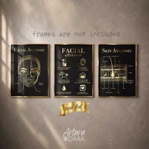 K&ouml;nnte beinhalten: Drei schwarze Poster mit Goldfolien-Illustrationen. Links ist die Gesichtsanatomie dargestellt, in der Mitte Anweisungen zur Gesichtsnachsorge mit Symbolen und rechts die Hautanatomie. Text beinhaltet "Facial Anatomy", "Facial aftercare" und "Skin Anatomy".
