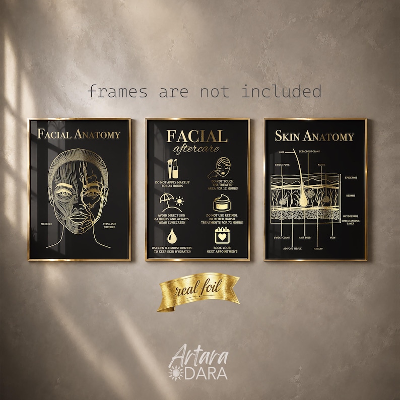 K&ouml;nnte beinhalten: Drei schwarze Poster mit Goldfolien-Illustrationen. Links ist die Gesichtsanatomie dargestellt, in der Mitte Anweisungen zur Gesichtsnachsorge mit Symbolen und rechts die Hautanatomie. Text beinhaltet "Facial Anatomy", "Facial aftercare" und "Skin Anatomy".
