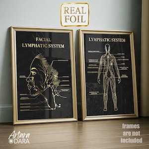 May include: Two framed prints with gold foil detailing. One shows the facial lymphatic system, the other the lymphatic system. Both have a black background with gold text and illustrations. The frames are gold. The text "REAL FOIL" is at the top.