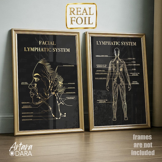 Lymphatic Massage Wall Decor Set of 2 Gold Foil Posters – Facial & Full Body Lymphatic Drainage Charts for MLD Therapy Room