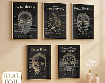 Facial Anatomy Charts – Set of 6 Gold Foil Posters for Skin Clinics (Unframed)