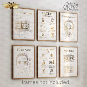 Facial Anatomy, Skin Anatomy, Real Foil Print, Beauty Salon Decor, Beauty Clinic Prints, Facial Aftercare, Skin Aiging, Face Aiging