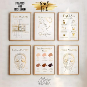 Beauty Clinic Decor, Real Foil Print, Facial Anatomy, Fitzpatrick Scale, Skin Anatomy, Beauty Quote, Beauty Salon Decor, Aesthetics Poster