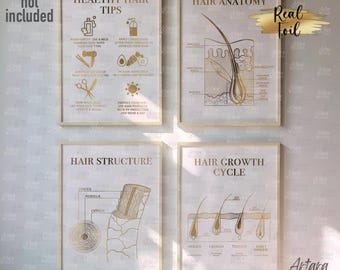 May include: Four framed art prints with gold foil text and illustrations about hair care and hair anatomy. The prints include titles like "Healthy Hair Tips," "Hair Anatomy," "Hair Structure," and "Hair Growth Cycle."