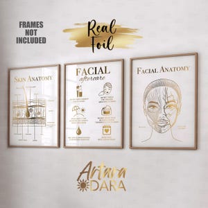 Arte post-cura del viso, stampa su lamina vera, decorazione per salone di bellezza, poster di anatomia della pelle, anatomia facciale, arte dermatologica, poster di Med Spa, arte della bellezza
