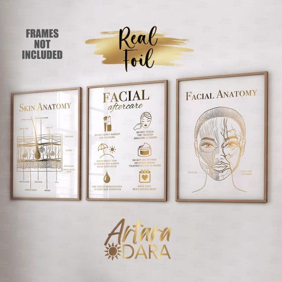 Facial Aftercare Art, Real Foil Print, Beauty Salon Decor, Skin Anatomy Poster, Facial Anatomy, Dermatology Art, Med Spa Poster, Beauty Art