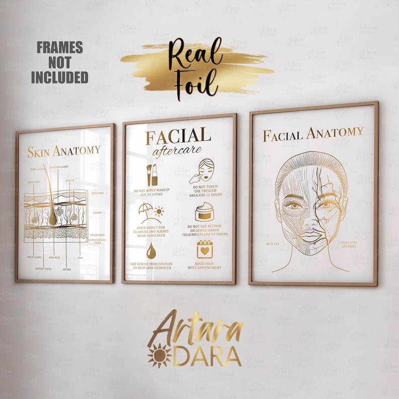 K&ouml;nnte beinhalten: Drei Wandkunstdrucke mit Goldfolien-Designs auf wei&szlig;em Hintergrund. Die Drucke zeigen Hautanatomie, Anweisungen zur Gesichtspflege mit Symbolen und Gesichtsanatomie mit einem Diagramm. Text: Real Foil und Frames Not Included.