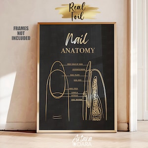 Könnte beinhalten: Schwarzer und goldener druckbarer Poster mit einem Diagramm der Nagelanatomie. Der Poster enthält den Text "Nail Anatomy" und Beschriftungen für die verschiedenen Teile des Nagels, einschließlich des freien Nagelrandes, des Hyponychiums, der Nagelplatte, des Nagelbettes, der Nagelfalte, der Lunula, der Nagelhaut und der Nagelmatrix.