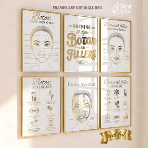 May include: A set of six wall art prints featuring gold-toned illustrations and text on a white background. The prints display facial anatomy, Botox injection sites, dermal filler areas, and aftercare instructions with icons and descriptive labels.