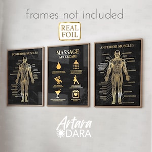 Set of 3 Massage Unframed Posters – Gold Foil Anterior & Posterior Muscles with Aftercare  (male version)