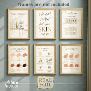 May include: Six framed gold-colored prints with skincare information. The prints include diagrams of skin anatomy, skin aging, acne types, and healthy skin tips. One print has the text "Life isn't perfect but your SKIN can be."