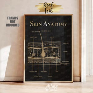 Skin Anatomy Art, Gold Foil Print, Dermatology Poster, Esthetician Decor, Dermatologist Gift, Beauty Salon Decor, Facial Poster, Med Spa Art