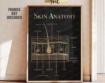 Gold Foil Skin Anatomy Art Print, Esthetician Decor