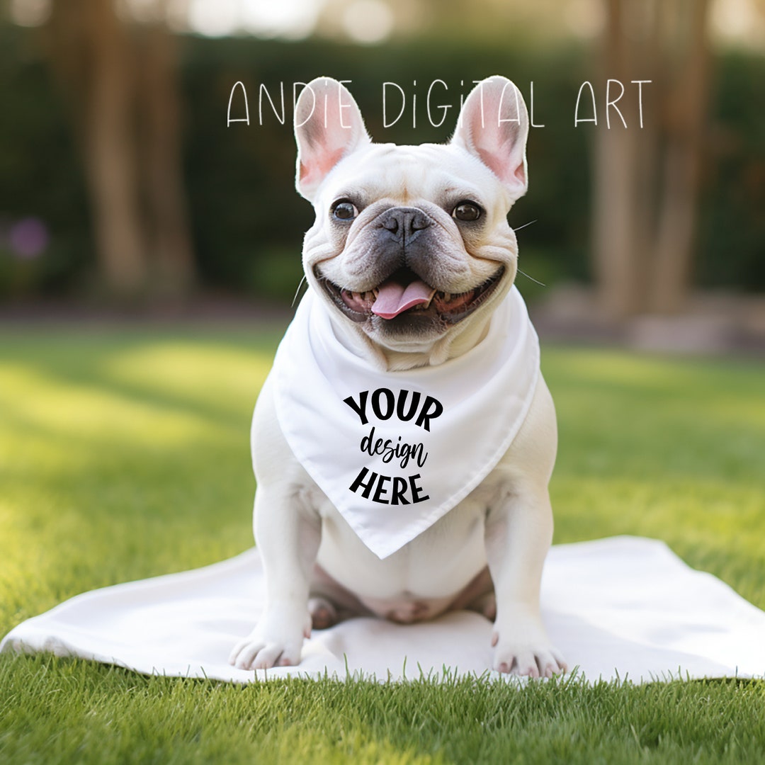 Mockup French Bulldog Dog Bandana Mocks Dog Bandana Mockup Pet Collar