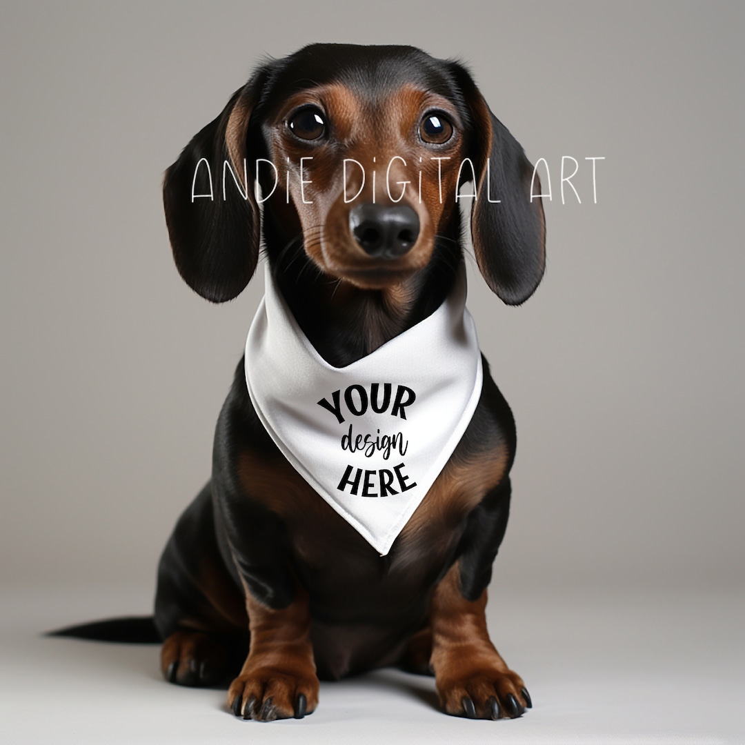 Dachshund Dog Bandana Mocks Dog Bandana Mockup Pet Collar Stock