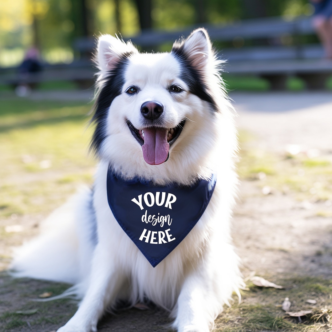 Navy Blue Dog Collar Mockup Dog Bandana Mockup Pet Collar Template Dog