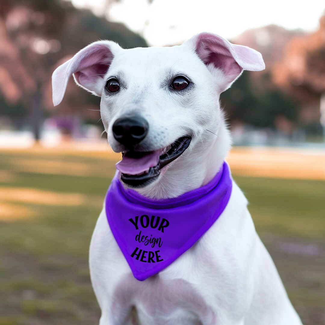 Yizepet Hundehalsband Mit Fliege & Halstuch Set – Stylisch & Verstellbar Für Hunde & Katzen