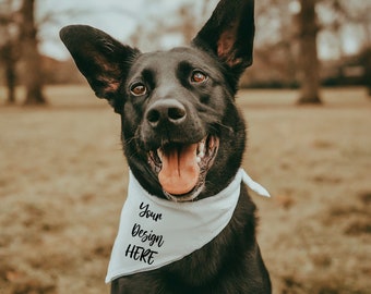 Dog Bandana Mockup | Dog Mockup | Pet Bandana Template | Add your own image | Bandana Mockup | Pet Mockup | Retro Style