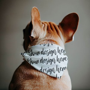May include: A light brown dog wearing a light blue bandana. The bandana has the text "Your design here" in a repeating pattern in black script. The dog's ears are perked up.