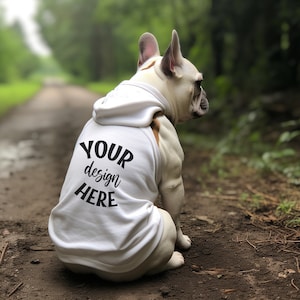 Dog Hoodie Mockup | Dog Mockup | Pet Hoodie Template | Add your own image | Dog Mockup | Dog White Hoodie Mockup | Pet Mockup | Dog Sweater