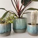 see more listings in the planters section