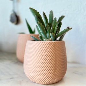 Terra cotta colored engraved planter