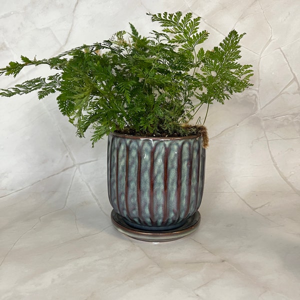 Fluted stoneware planter with saucer