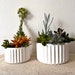 see more listings in the planters section