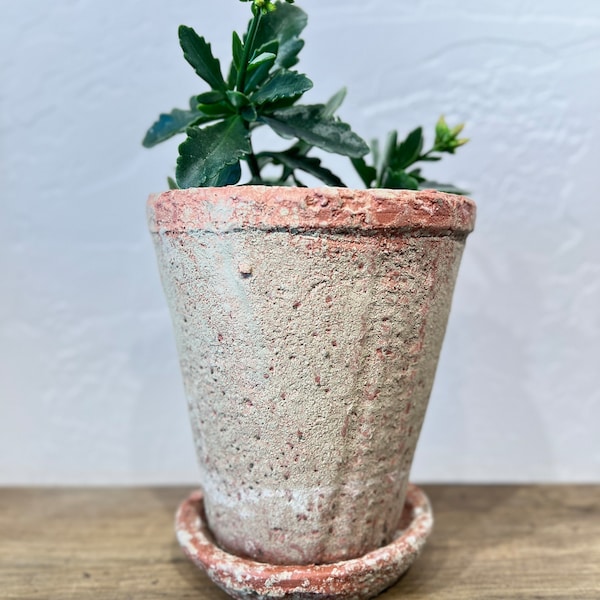 Distressed cement planter with saucer