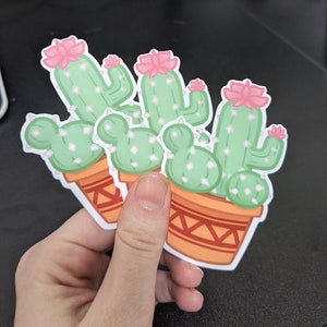 Cactus Flowers