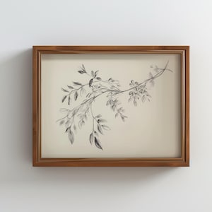 May include: A framed black and white pencil drawing of a branch with leaves. The drawing is on a cream-coloured background and is framed in a natural wood frame.