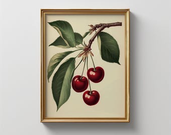 Vintage Cherry Botanical Print: Rustic Kitchen Wall Art (Digital Download)