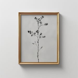 Vintage Botanical Flower Print: Antique Black and White Sketch (Digital Download)