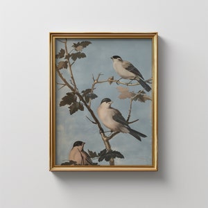 Vintage Bird Print: Soft Blue Farmhouse Nursery Decor (Digital Download)