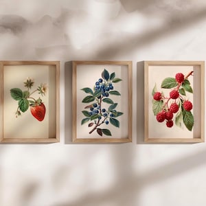 Op de afbeelding: Drie ingelijste botanische prints met close-ups van een aardbei, blauwe bessen en frambozen. De prints zijn in houten frames met een lichtbruine afwerking.