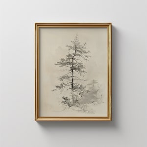 Vintage Tree Sketch | Digital Download | Art Antique Drawing | Fine Art Print Neutral Wall Print Nature Sketch Pine Tree Wall Art